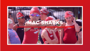 Shark Swimmers